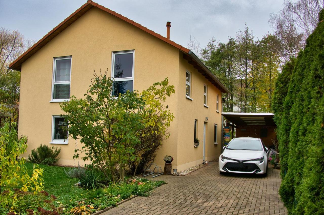 Mycozyplace - Gemuetliches Zimmer Fuer Zwei Dresden Exteriör bild