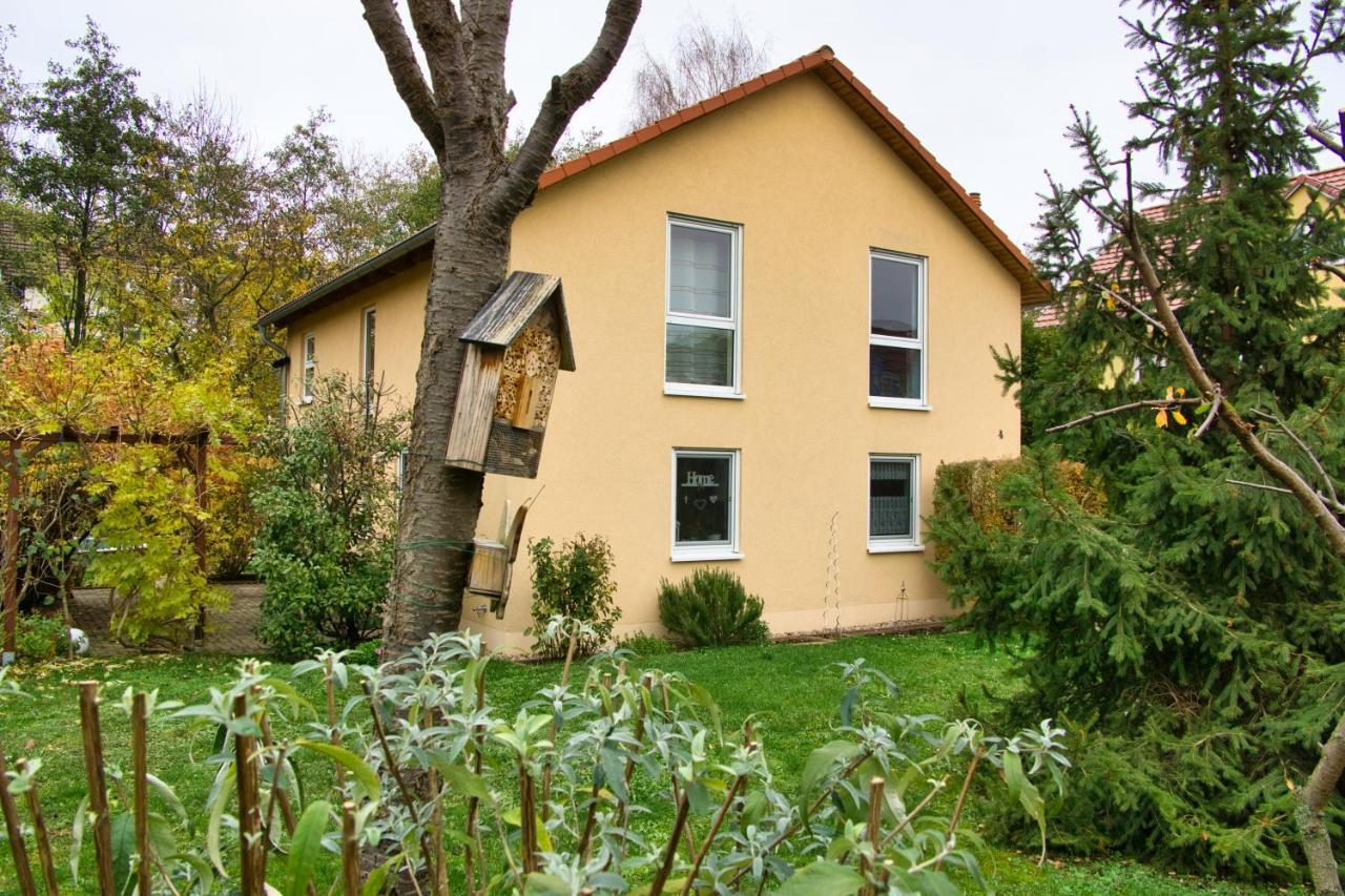 Mycozyplace - Gemuetliches Zimmer Fuer Zwei Dresden Exteriör bild